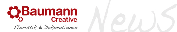 Baumann Creative Baumann Creative