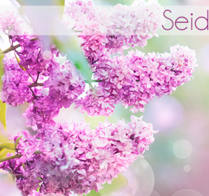 Seidenblumen