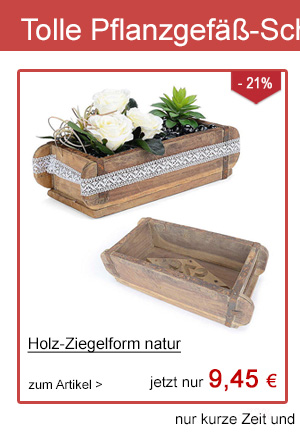 Ziegelform