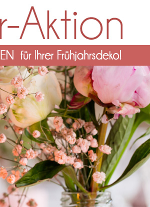 Neuer Katalog