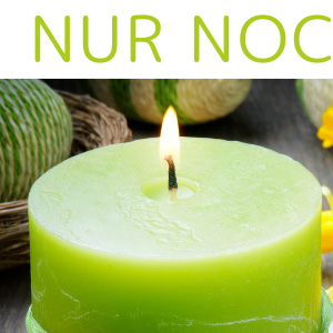 Frühlingsneuheiten