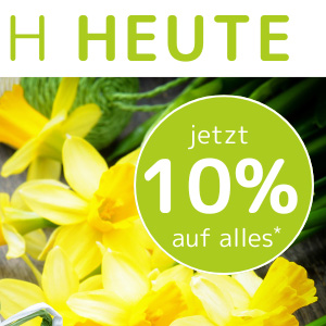 Frühlingsneuheiten