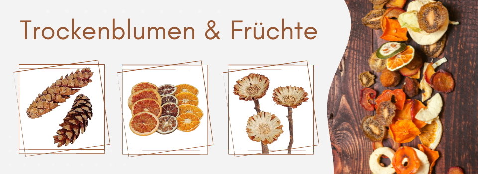 Trockenblumen & Frchte