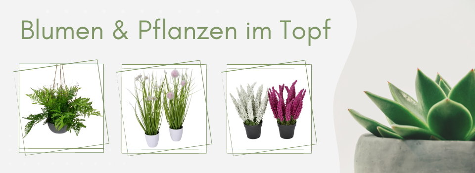 Blumen & Pflanzen im Topf