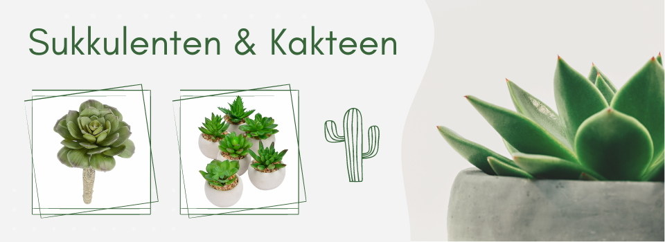 Sukkulenten & Kakteen im online Shop kaufen - Baumann Creative | Kunstpflanzen