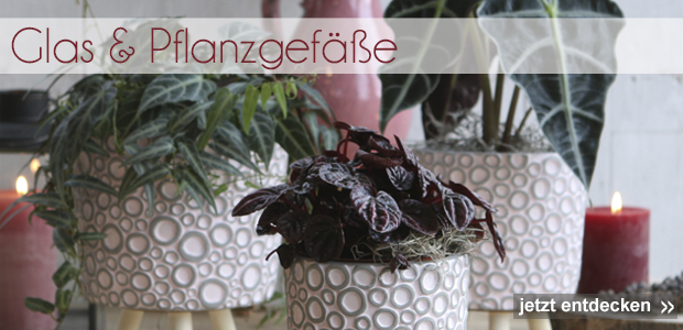 Baumann Creative Floristik Deko Shop Floristenbedarf