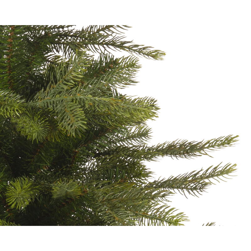 Tannenbaum Grandis, Bumchen im Topf, Dekobaum, Winterdeko Bild 2