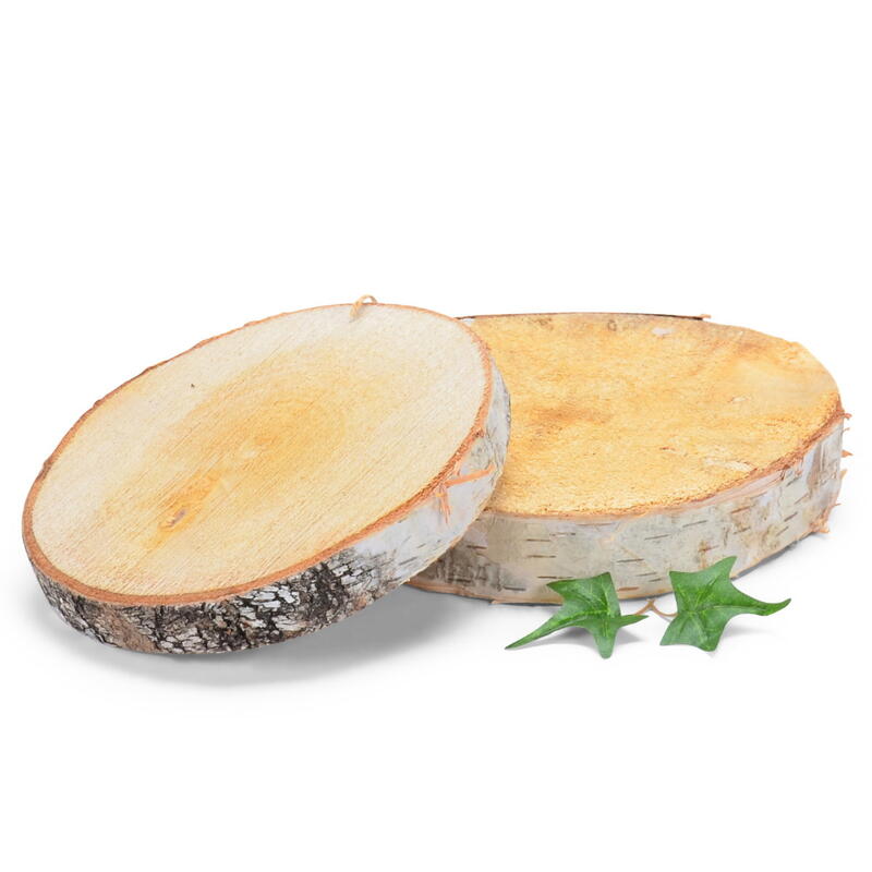Birkenast-Scheiben, Holzscheiben, Astscheiben, Baumscheiben, Birkenscheiben, Naturdeko  Bild 2