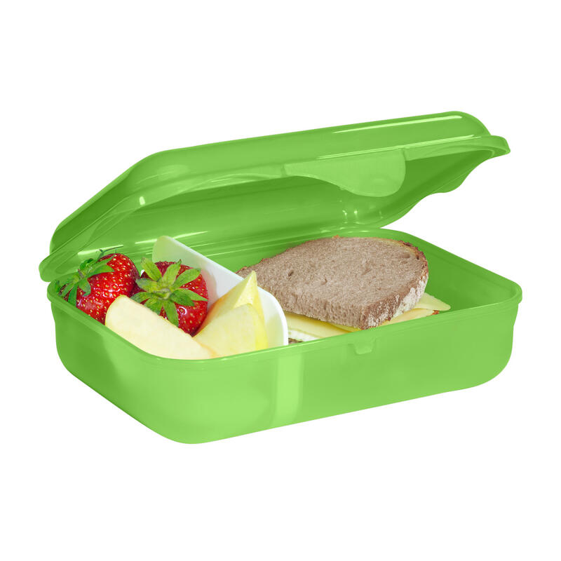 Step by Step Lunchbox, Dino Targo Bild 2