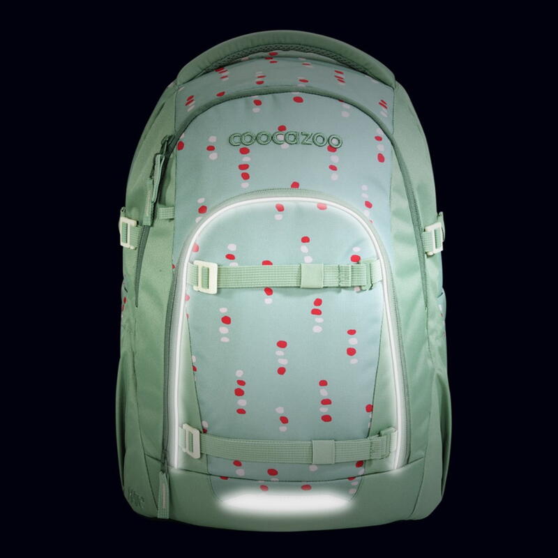Coocazoo-Schulrucksack MATE, Dancing Dots Bild 6