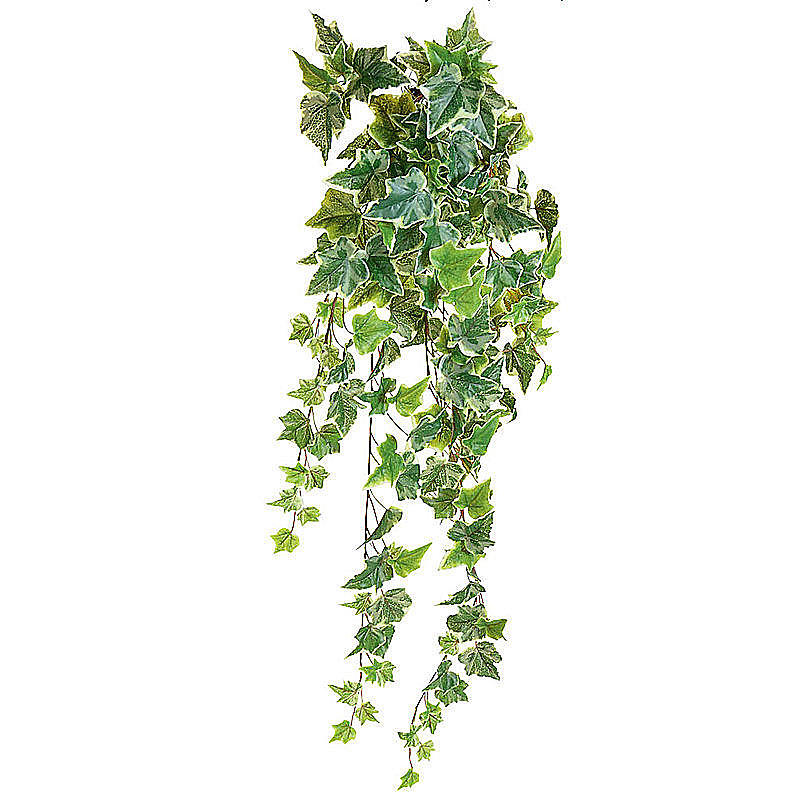 Efeuhänger grün-weiß, Kunstpflanze, künstlicher Pflanzenhänger, Efeu künstlich