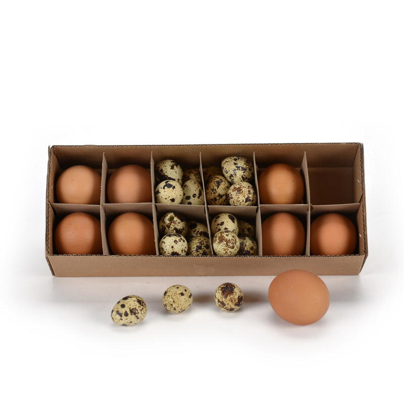 Eier-Sortiment ausgeblasen, Ostereier, Hühnerei, Wachtelei, Osterdeko, Deko-Ostereier