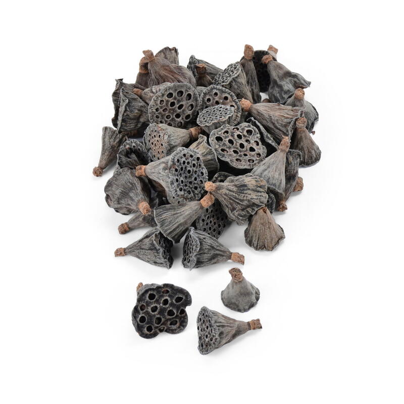 Mini-Lotus, Exoten, Fr�chte, Grabgestecke, Grabschmuck, Allerheiligengestecke, Trauerfloristik, Trockenblumen