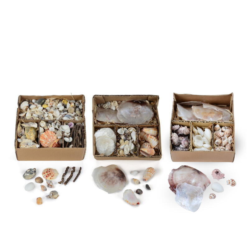 GRAZDesign Wandtattoo Bad | Anker & Muscheln Motiv | 51x30 Cm | Türkis Maritime Deko