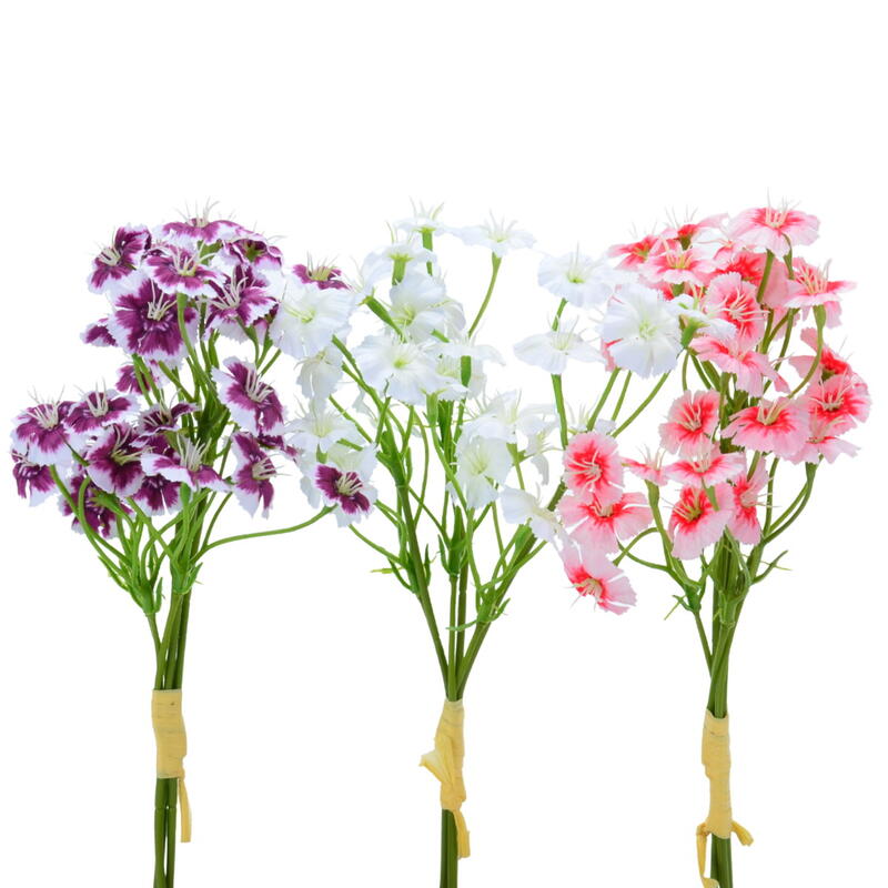 Nelke, Bartnelke, Spraynelke, k�nstliche Nelke