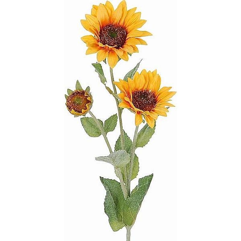 Sonnenblume, 3 Stiele