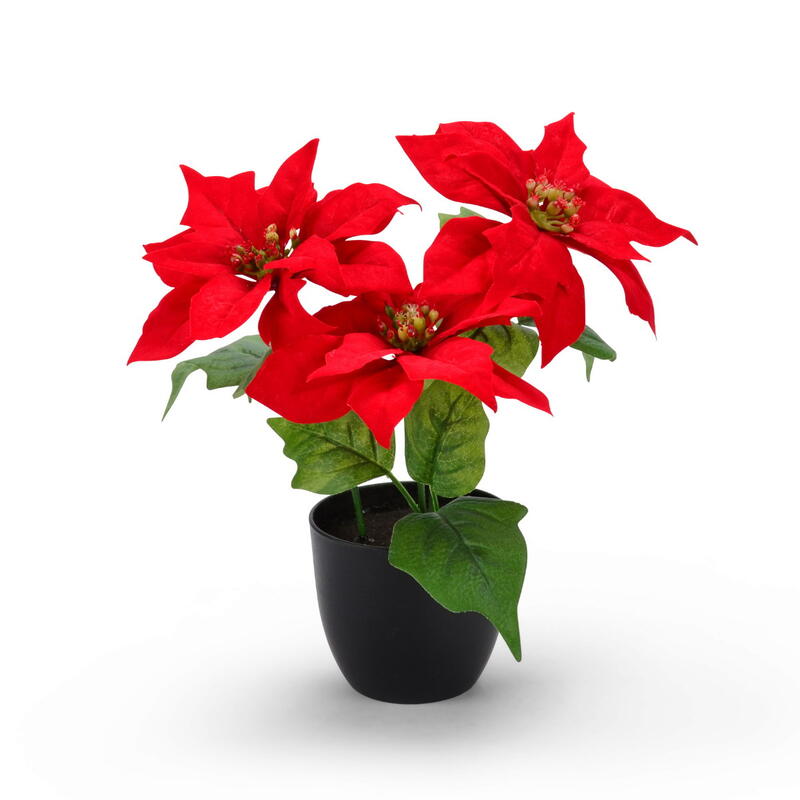 Weihnachtsstern im Topf, knstlicher Weihnachtsstern, Kunstpflanze, Weihnachtsdeko, Poinsettia im Topf