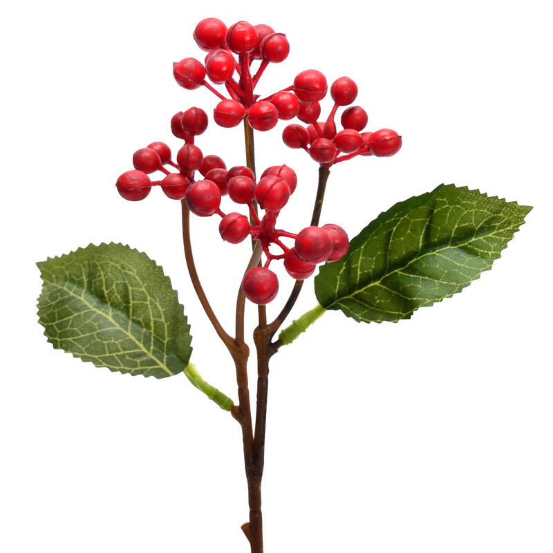 Wildbeeren-Pick, Beeren, Frckten, Beerenzweig, Herbstdeko, Winterdeko