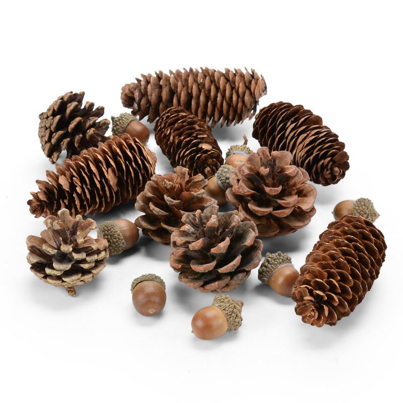 Zapfen-Eichel-Mix, Zapfen-Mix, Zapfen-Deko, Tannenzapfen, Tannenzapfen-Mix, Winterdeko, Weihnachtsdeko, Naturdeko
