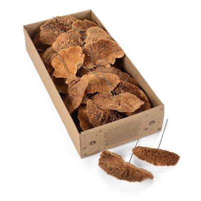 Baumschwamm am Draht, Baumpilze angedrahtet, Grabschmuck, Trauerfloristik, Trockenfloristik