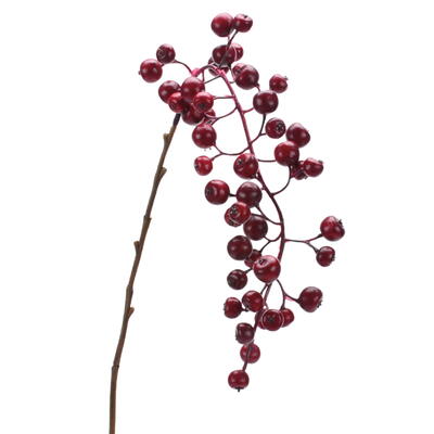  Feuerdorn-Zweig, Beerenzweig, Beerenzweig, k�nstliche Beeren, Fr�chte, herbstlicher Beerenzweig 