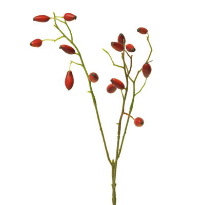 Beere, Beeren, Hagebutte, Hagebutten, knstlicher Hagebuttenzweig, Beerenzweig, Beerendekoration, Herbstdeko, knstlicher Beeren