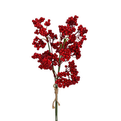 Beerenzweig, Beerenbund, Herbstdeko