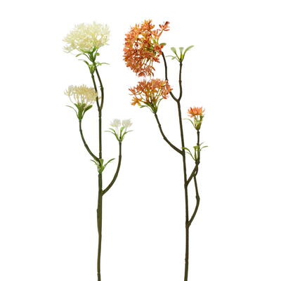 Bowardien-Zweig, Bltenzweig, Blumenzweig, Bowardie, Kunstblume, Seidenblume, knstlicher Bowardienzweig