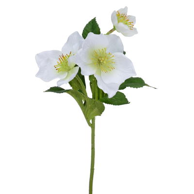 Christrose, künstliche Blume, Kunstblume, Kunstpflanze