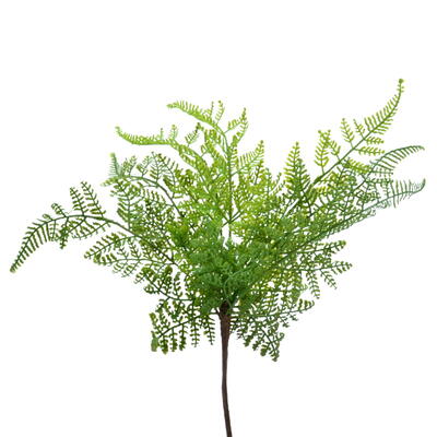 Farn, Farnzweig, Farn-Zweig, Farnbusch, Dekofarn, k�nstliches Farn, Blattwerk