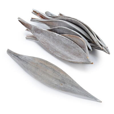 Kokosschale grau gefrostet, Cocosschale, Cocos, Kokos, Exoten, Trauerschmuck