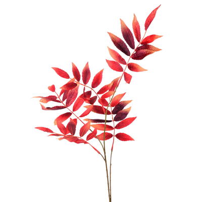 Laubzweig, Blattzweig, Herbstzweig, Herbstdeko