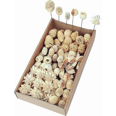 Leucodendron-Kpfe-Mix am Draht, Grabgestecke, Grabschmuck, Allerheiligengestecke, Trauerfloristik, Trockenblumen, Zapfen