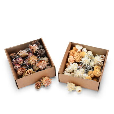 Leucodendron-Zapfen-Mix gebleicht am Draht, Grabschmuck, Allerheiligengestecke, Trauerfloristik, Trockenblumen, Zapfen