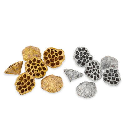 Lotus gro gold und silber, Exoten, Frchte, Grabgestecke, Grabschmuck, Allerheiligengestecke, Trauerfloristik, Trockenblumen