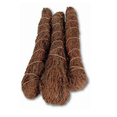 Mühlenbeckia, Rebenmaterial, ca. 1 kg