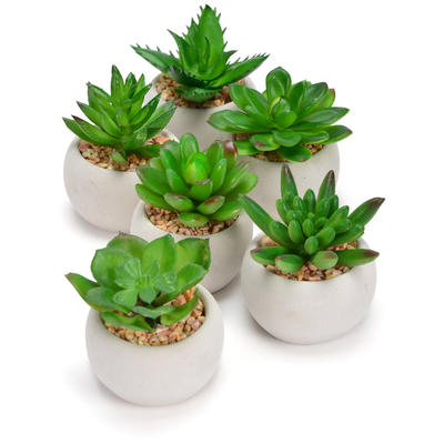 Mini-Sukkulenten im Topf, Minipflanze, Topfpflanze, Kunstpflanze