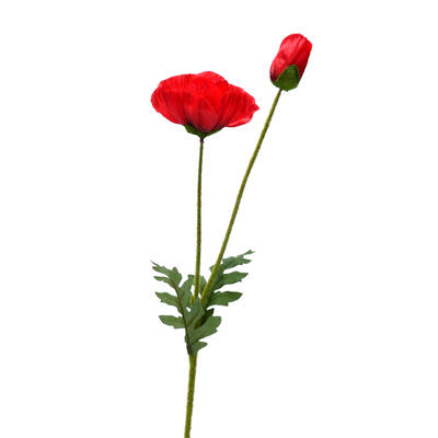 Mohn, knstlicher Mohn, Mohnblume, Klatschmohn, Seidenblume, Kunstblume