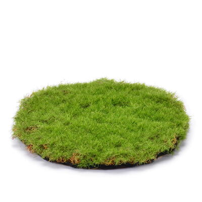Moosnmatte rund, knstliche Moosplatte, Moos, Moosdeko, Frhlingsdeko