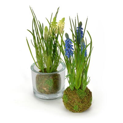 Muscari im Erdballen, Frhlingsblher, Traubenhyazinthe, Hyazinthe, Kunstblume, knstliche Muscari, Seidenblumen