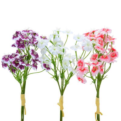 Nelke, Bartnelke, Spraynelke, k�nstliche Nelke