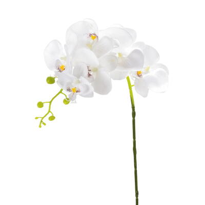 Orchidee Phalaenopsis, Orchideen-Zweig, Orchidee, Blumen, Seidenblumen, Kunstblumen, Blten