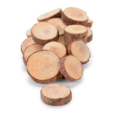Pinienholz-Scheiben, Holzscheiben, Astscheiben, Baumscheiben, Birkenscheiben