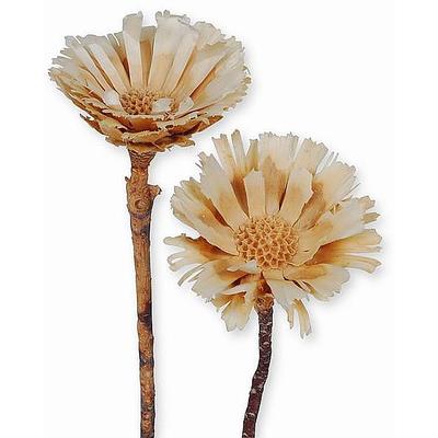 Protea Rosette gebleicht, Grabgestecke, Grabschmuck, Allerheiligengestecke, Trauerfloristik, Trockenblumen