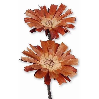 Protea Rosette gro hell natur, Grabgestecke, Grabschmuck, Allerheiligengestecke, Trauerfloristik, Trockenblumen, Totensonntag