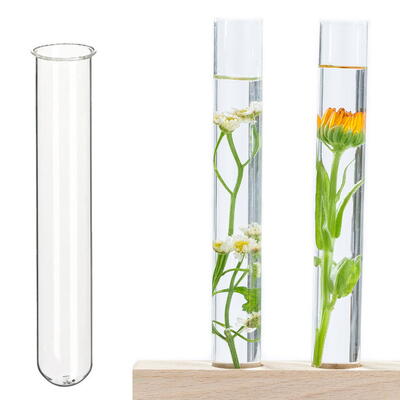 Reagenzglas mit Rand