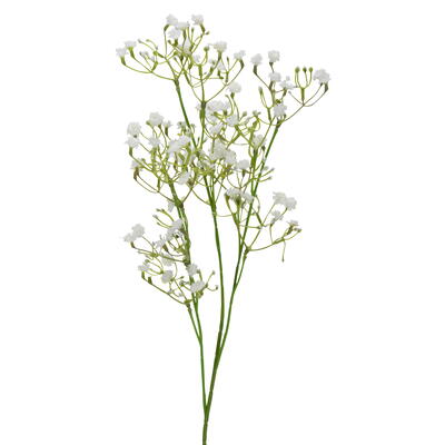 Schleierkraut, Kunstblume, künstlicher Blütensteil, Seidenblume, Gypsophila weiß