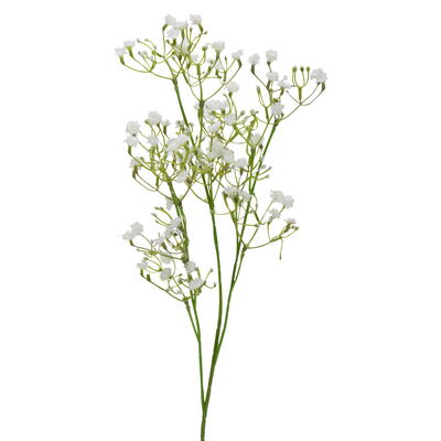 Schleierkraut, Kunstblume, knstlicher Bltensteil, Seidenblume, Gypsophila wei