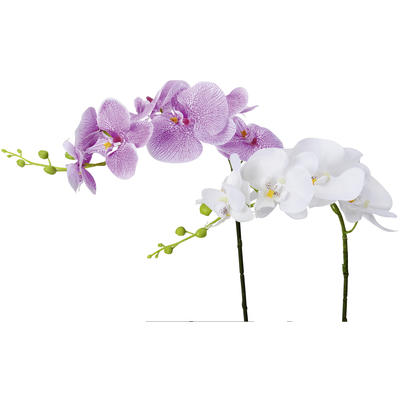Seidenblume 'Orchidee-Phalaenopsis' Kunstblume