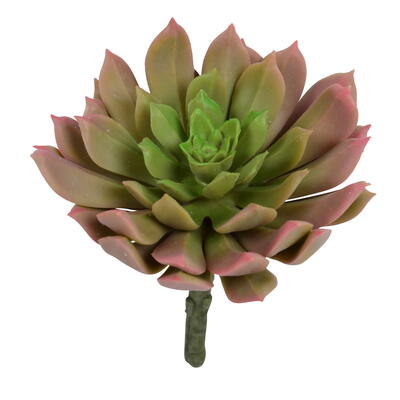 Sukkulente Aeonium grün-rosa, Kunstblume, künstliche Sukkulente, künstliches Steingewächs